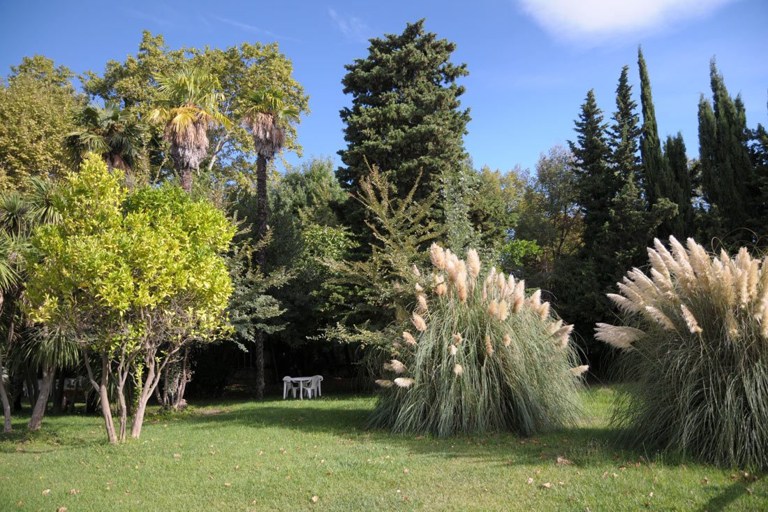 Jardin thérapeutique